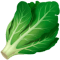 Ilustração de alface fresca