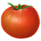 Ilustração de tomate selecionado